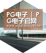 pg电子入口引领国际前沿设计