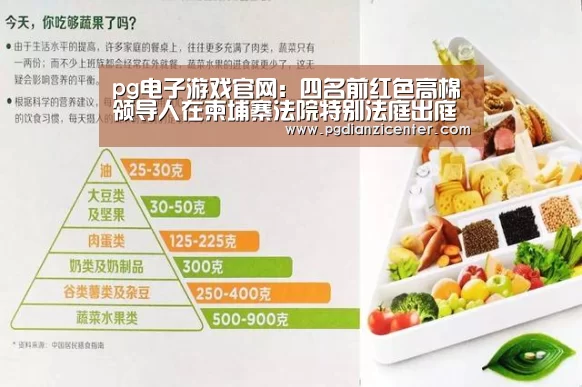 pg电子入口官网