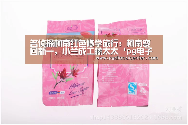 名侦探柯南红色修学旅行：柯南变回新一，小兰成工藤太太‘pg电子游戏官网’