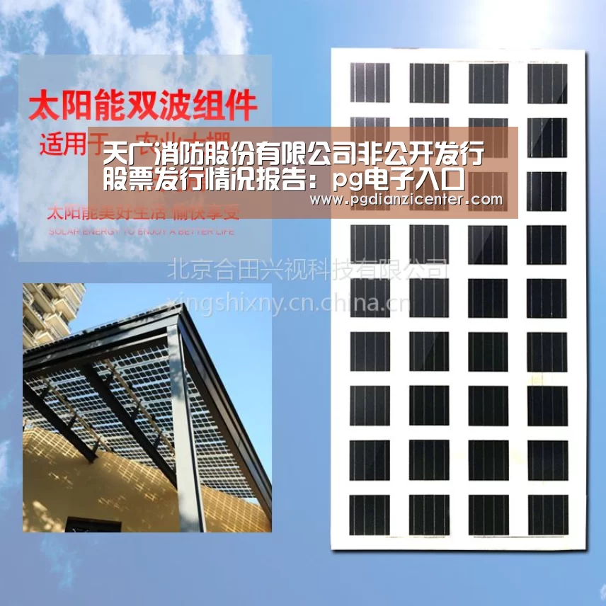 pg电子游戏官网