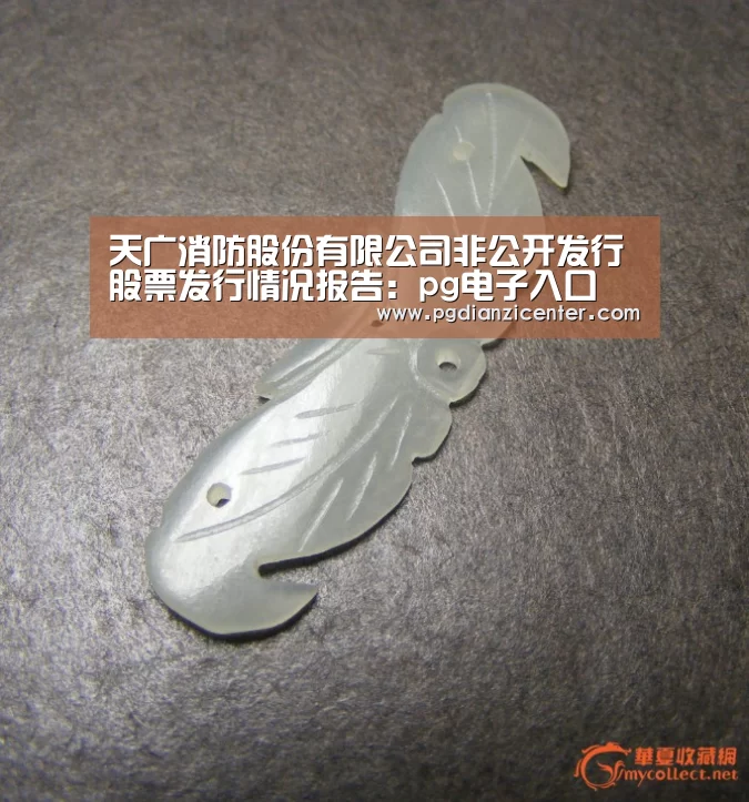 天广消防股份有限公司非公开发行股票发行情况报告：pg电子入口